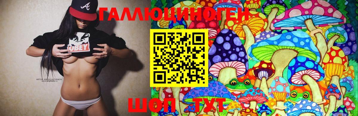 Псилоцибиновые грибы прущие грибы  где можно купить   Фурманов  Галлюциногенные грибы GOLDEN TEACHER  Вход с VPN 